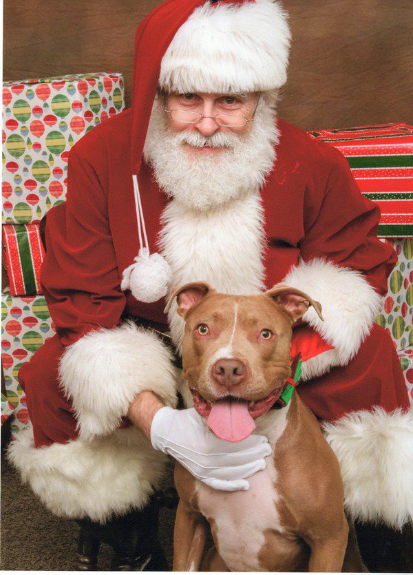 Pet Star 183.jpg